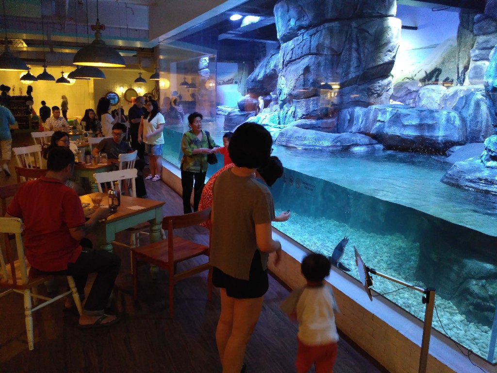 Makan di resto sambil memberi makan pinguin di pengalaman Menyelam Bersama Hiu di Mall Jakarta